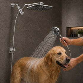 Zyora premium shower set creates a spa-like daily ritual at home.